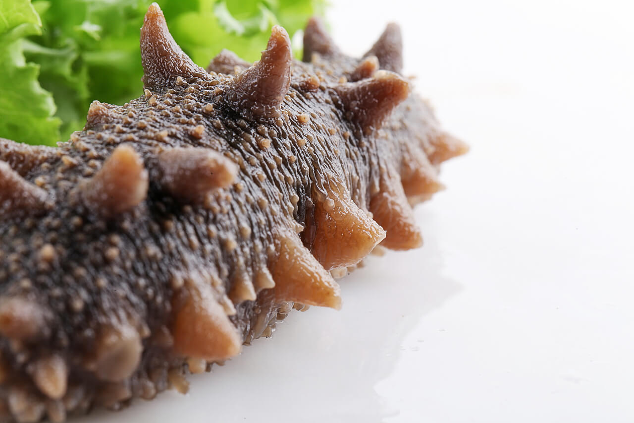 經常吃(chī)海參 知道(dào)海參的食用禁忌有(yǒu)哪些(xiē)嗎