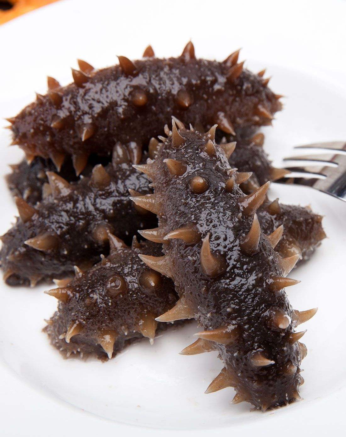 海參的食用價值和(hé)用途都有(yǒu)哪些(xiē)呢